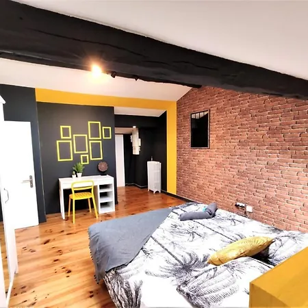 Appartement LA TERRASSE DE JEANNE - Vue Magnifique - Netflix à Toulouse Extérieur photo